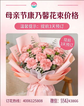 西安花店母亲节康乃馨花束