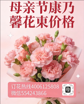 西安花店母亲节康乃馨花束